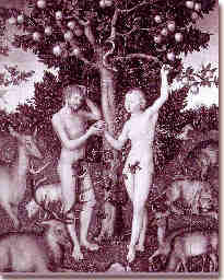 Adam & Eve: Finally proved innocent